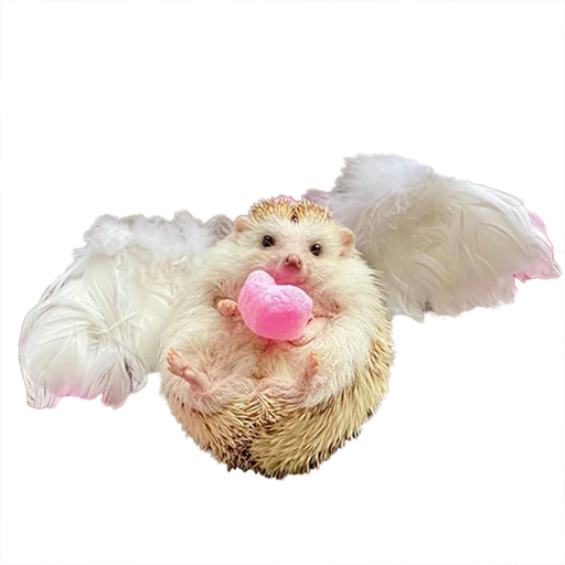 Стикер из набора "hedgehogs Beauty Stickers"