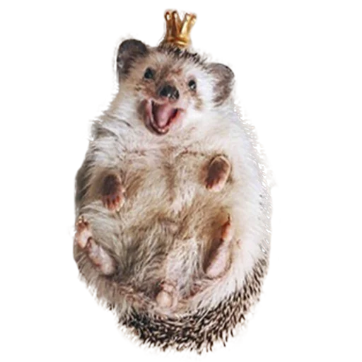 Sticker from the "hedgehogs Beauty Stickers" sticker pack