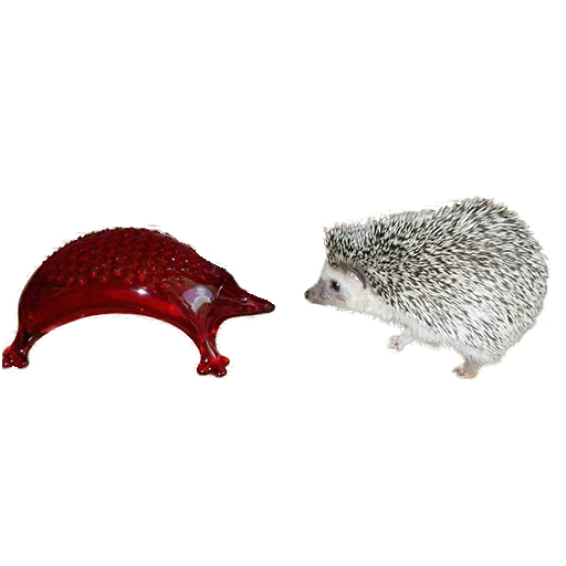 Sticker from the "hedgehogs Beauty Stickers" sticker pack