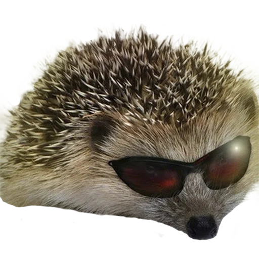 Sticker from the "hedgehogs Beauty Stickers" sticker pack