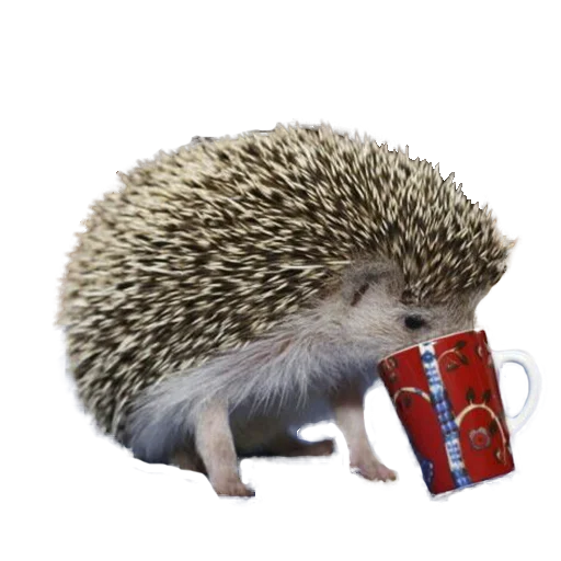 Sticker from the "hedgehogs Beauty Stickers" sticker pack