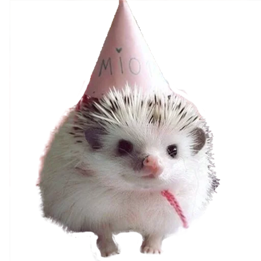 Sticker from the "hedgehogs Beauty Stickers" sticker pack