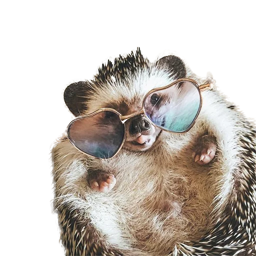 Стикер из набора "hedgehogs Beauty Stickers"