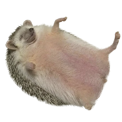 Sticker from the "hedgehogs Beauty Stickers" sticker pack