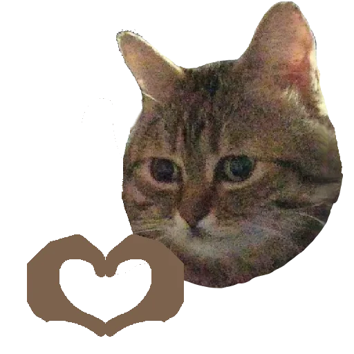 Sticker from the "Глебчик" sticker pack