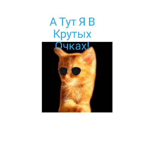 Sticker from the "Симбочка Пимпочка Обновление 4" sticker pack