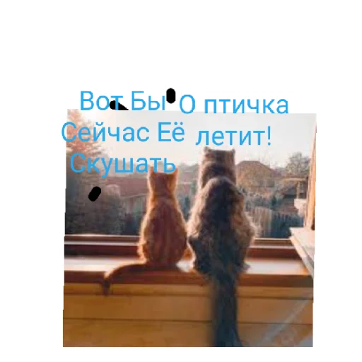 Sticker Симбочка Пимпочка Обновление 4