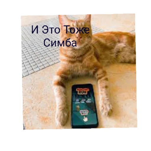 Sticker Симбочка Пимпочка Обновление 4