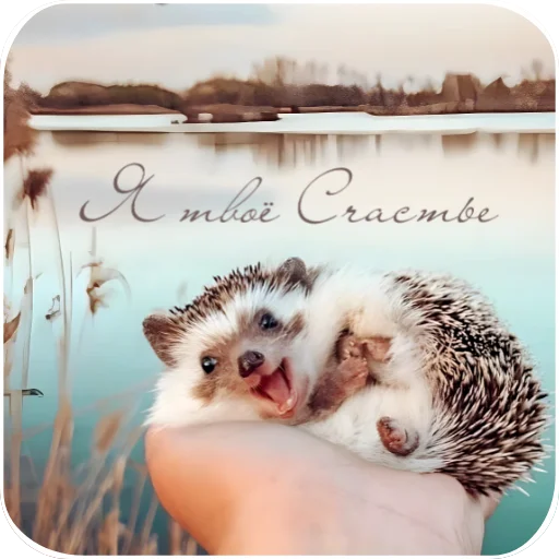 Стикер из набора "Cute Animals"