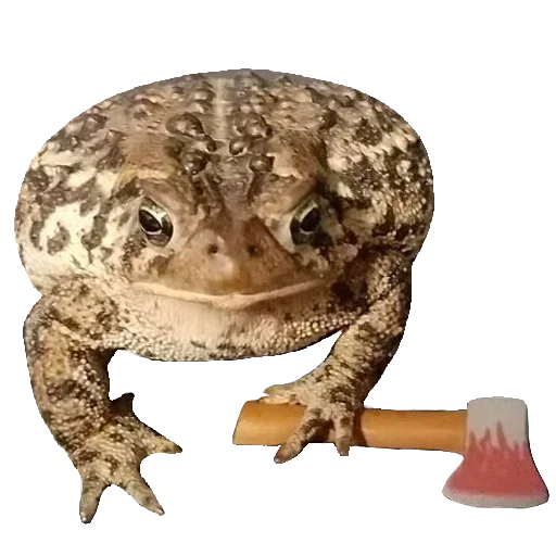 Sticker from the "Toad" sticker pack