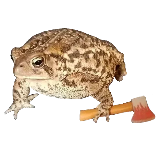 Sticker from the "Toad" sticker pack