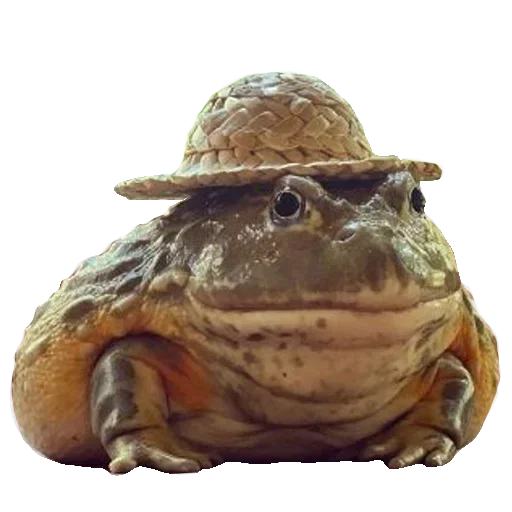 Стикер из набора "Toad"