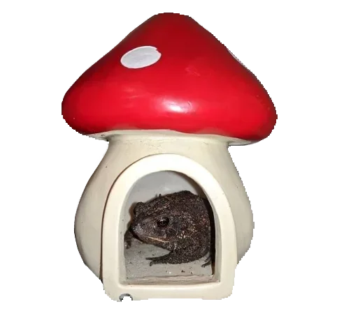 Sticker Toad