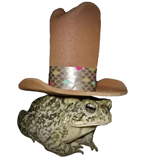 Sticker Toad