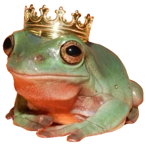 Sticker Toad