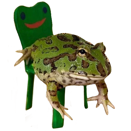 Sticker Toad