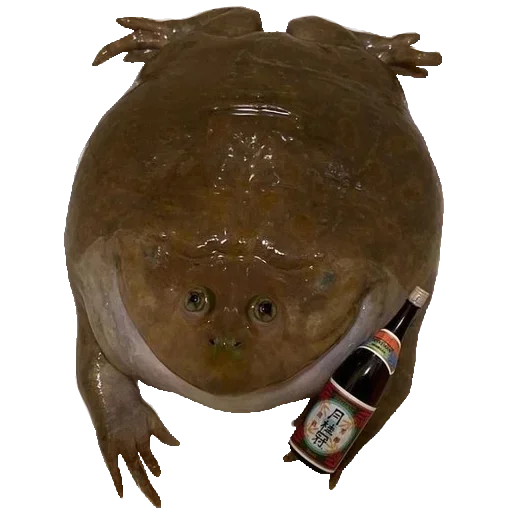 Стикер из набора "Toad"