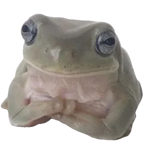 Sticker Toad