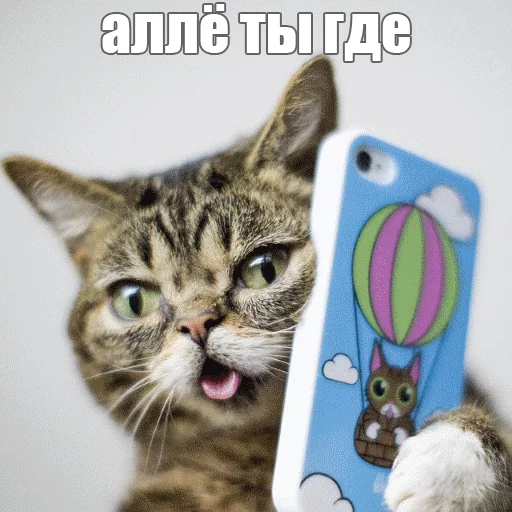 Sticker from the "Lil_Bub" sticker pack