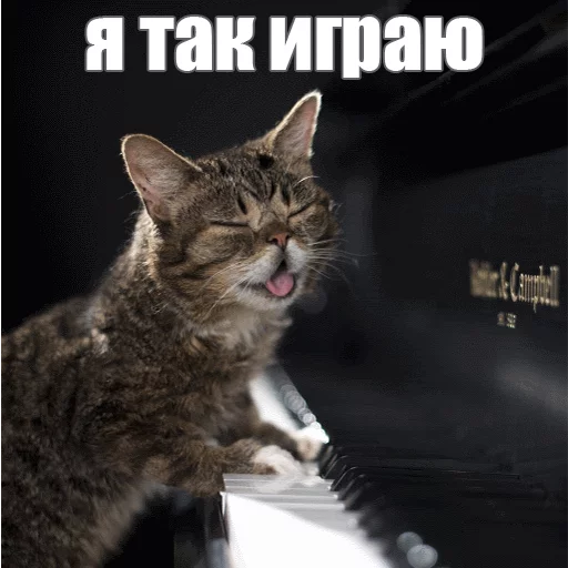 Стикер из набора "Lil_Bub"