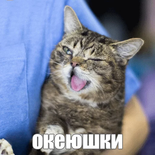 Стикер из набора "Lil_Bub"