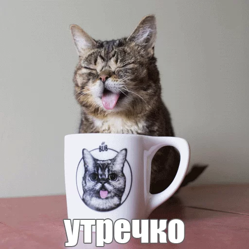 Стикер из набора "Lil_Bub"