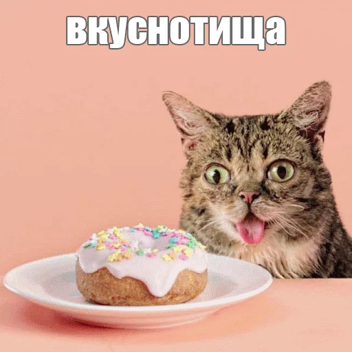 Стикер из набора "Lil_Bub"