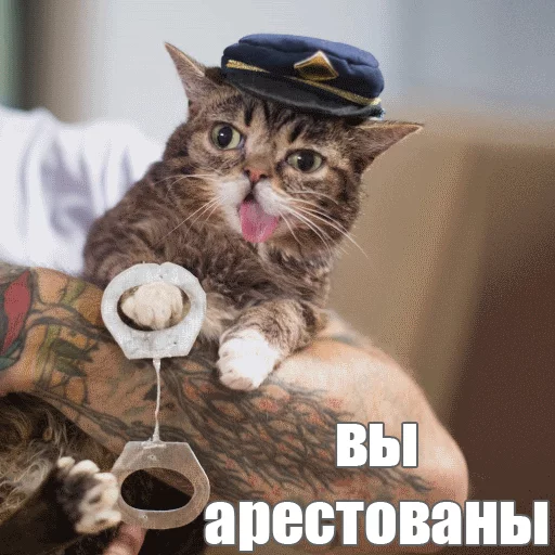 Стикер из набора "Lil_Bub"