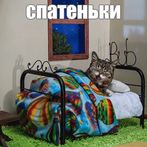 Стикер из набора "Lil_Bub"