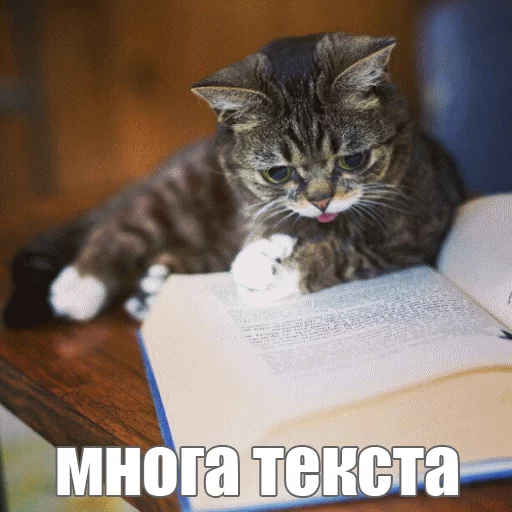 Стикер из набора "Lil_Bub"