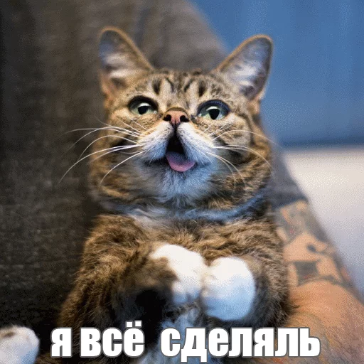 Стикер из набора "Lil_Bub"