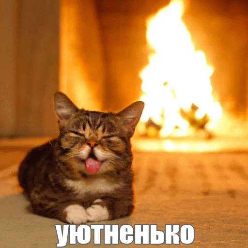 Стикер из набора "Lil_Bub"