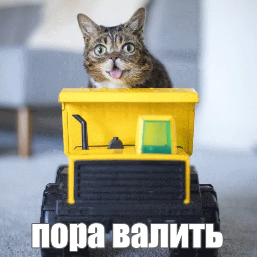 Стикер из набора "Lil_Bub"