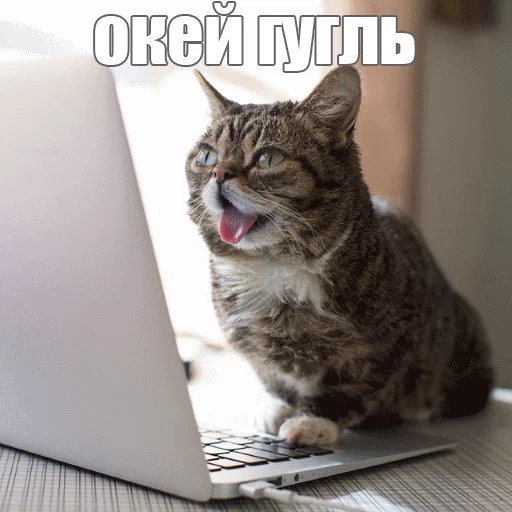 Стикер из набора "Lil_Bub"