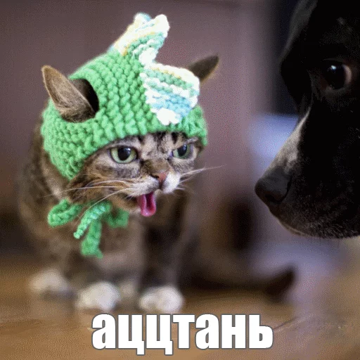 Стикер из набора "Lil_Bub"