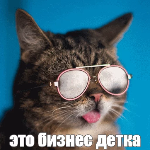 Стикер из набора "Lil_Bub"