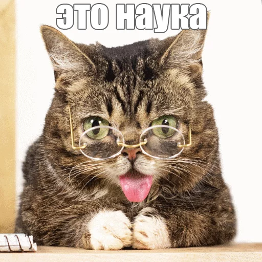 Стикер из набора "Lil_Bub"