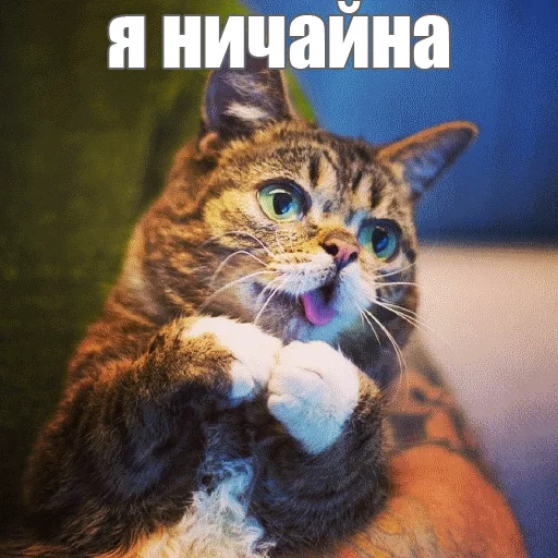 Стикер из набора "Lil_Bub"