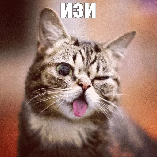 Стикер из набора "Lil_Bub"