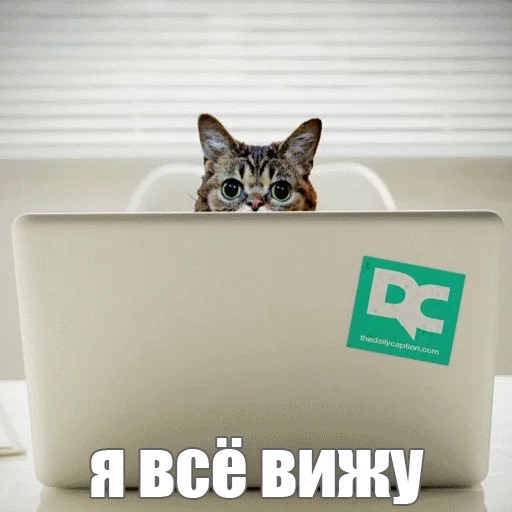 Стикер из набора "Lil_Bub"