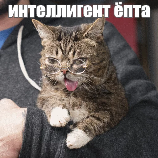 Стикер из набора "Lil_Bub"