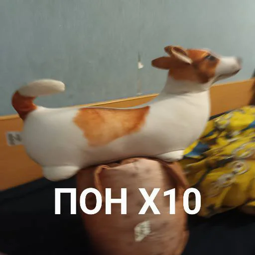 Sticker Блоптоп 10-летки