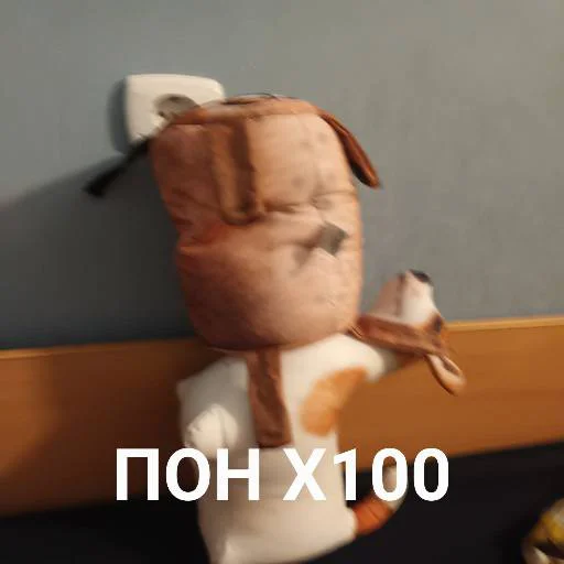 Sticker Блоптоп 10-летки