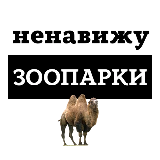 Sticker from the "НЕНАВИЖУ" sticker pack