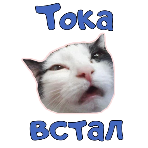 Sticker from the "Доброе УТРО" sticker pack