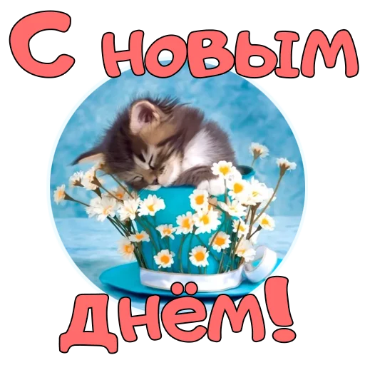 Sticker from the "Доброе УТРО" sticker pack