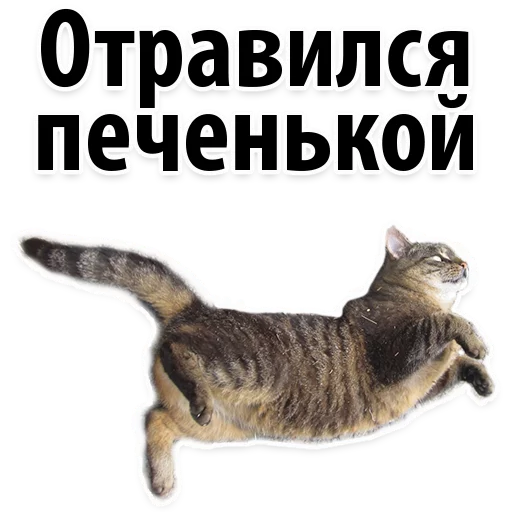 Sticker Молодёжный сленг