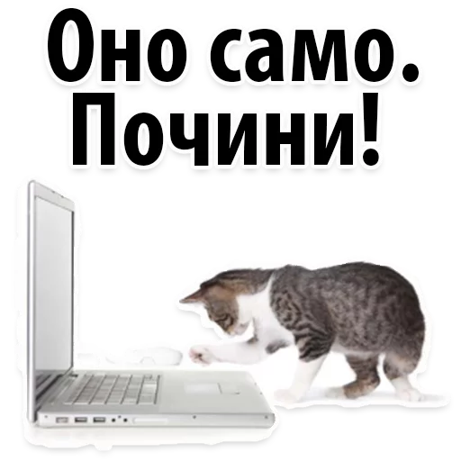 Sticker Молодёжный сленг