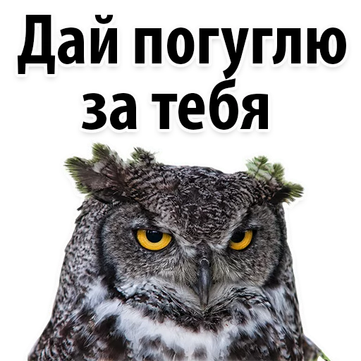 Sticker from the "Молодёжный сленг" sticker pack