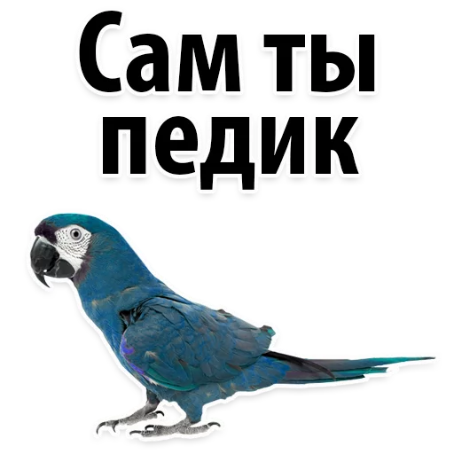 Sticker Молодёжный сленг